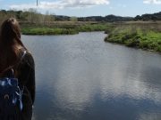 Quinta do Conde estuda construção de piscina biológica Quinta do Conde estuda construção de piscina biológica
